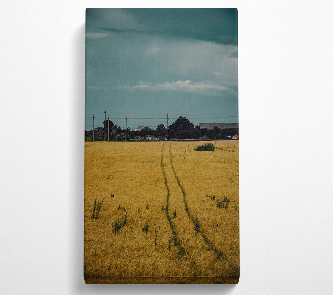  A Canvas Print of Golden Wheat Path Canvas Print