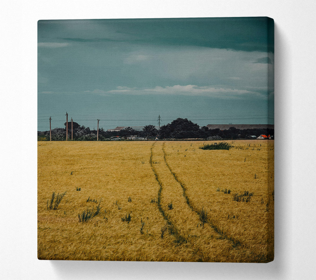  A Canvas Print of Golden Wheat Path Canvas Print