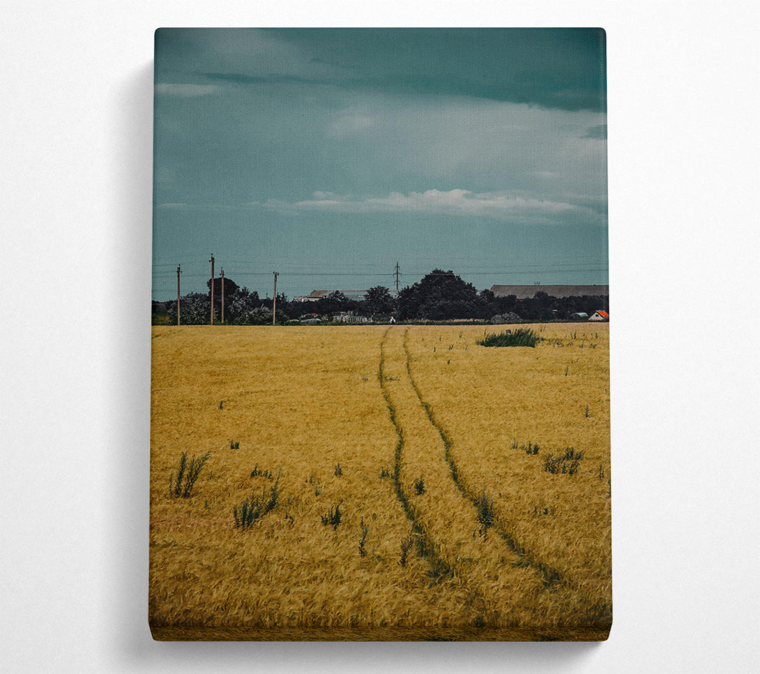  A Canvas Print of Golden Wheat Path Canvas Print