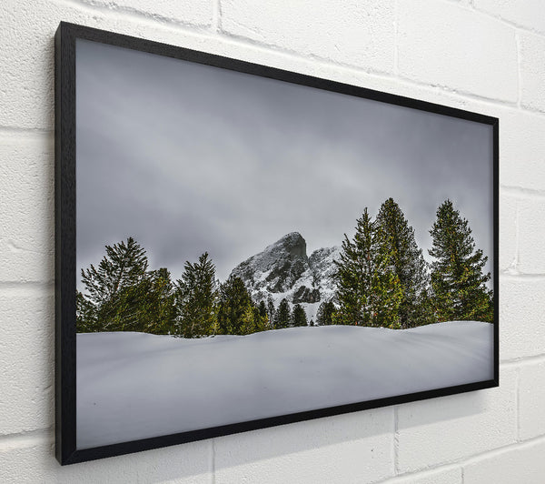 White Peaks And Pines