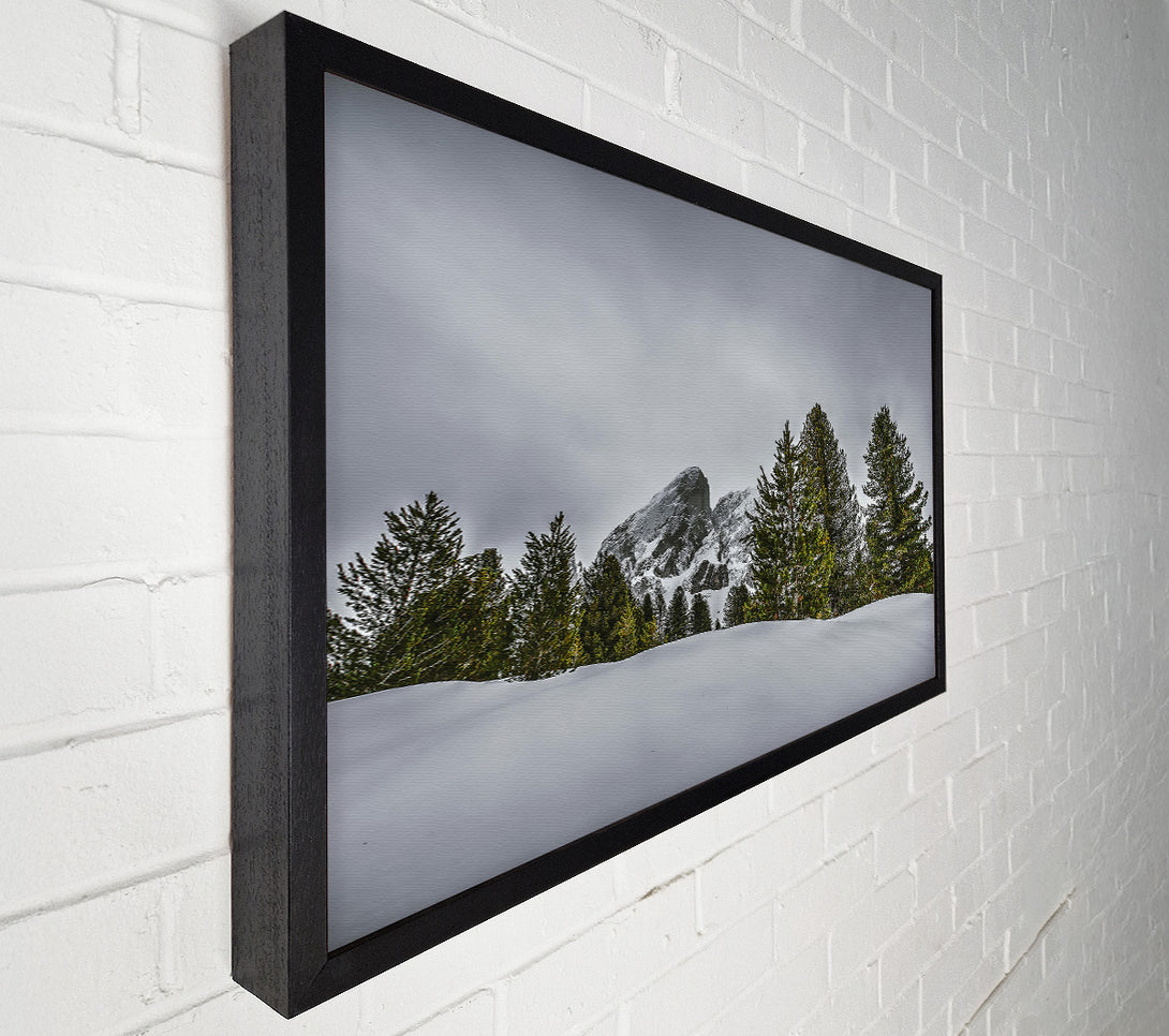  A Canvas Print of White Peaks And Pines Canvas Wall Art