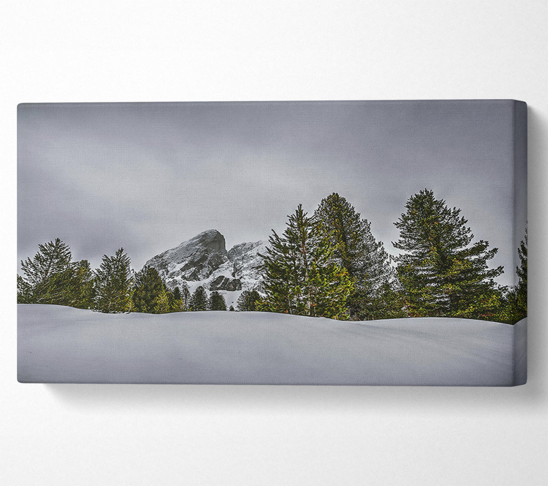  A Canvas Print of White Peaks And Pines Canvas Wall Art