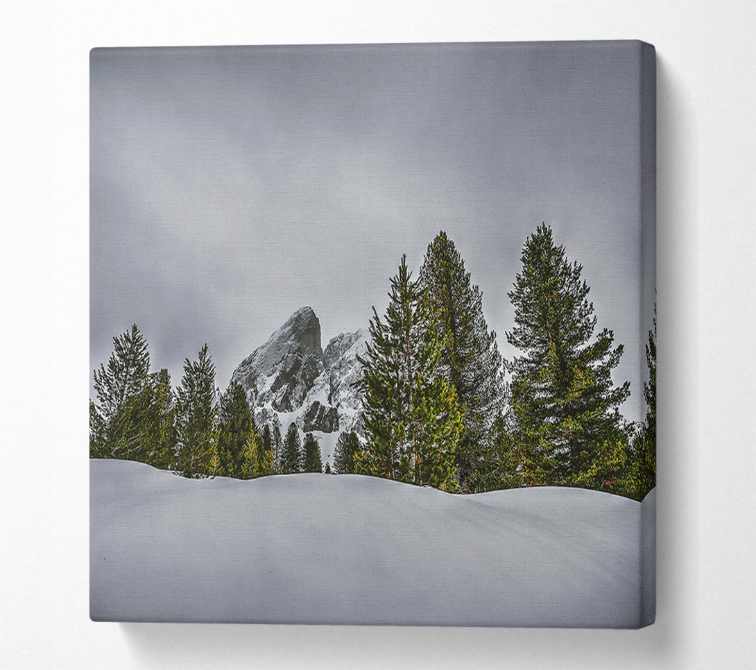  A Canvas Print of White Peaks And Pines Canvas Wall Art