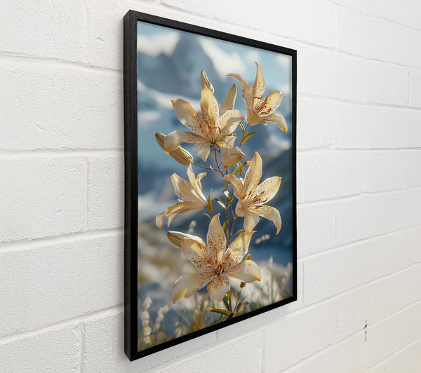 Creamy Mountain Lilies