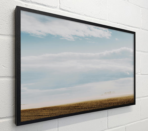 Brown Field Mist