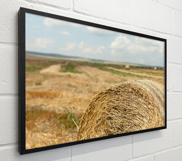 Golden Hay Roll