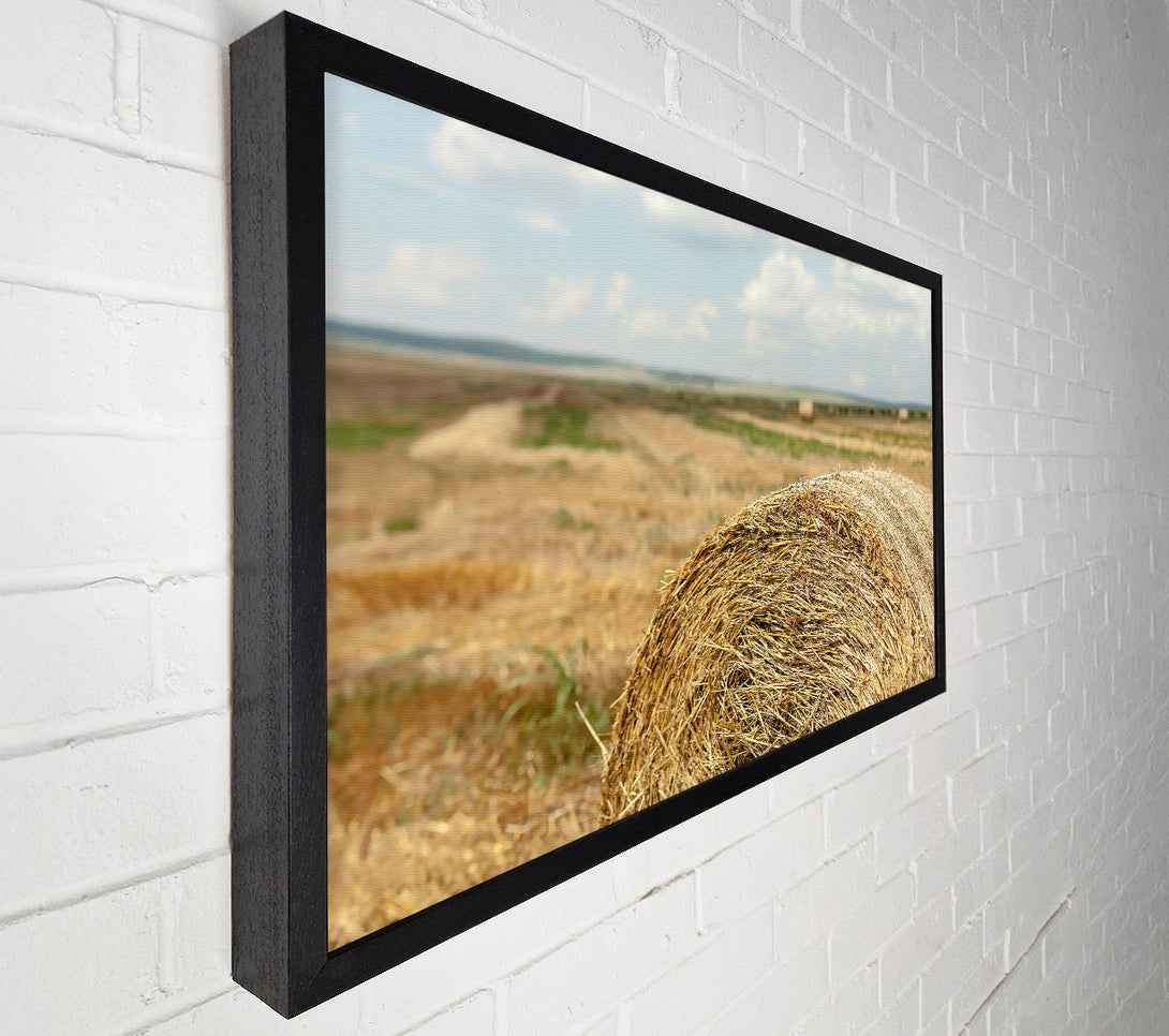  A Canvas Print of Golden Hay Roll Canvas Wall Art