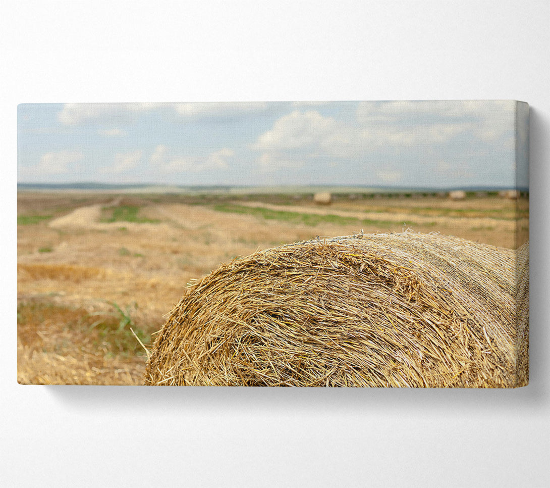  A Canvas Print of Golden Hay Roll Canvas Wall Art