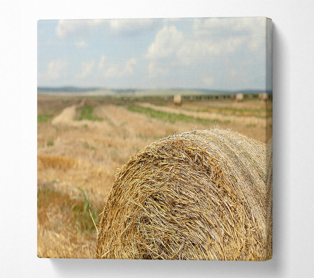  A Canvas Print of Golden Hay Roll Canvas Wall Art