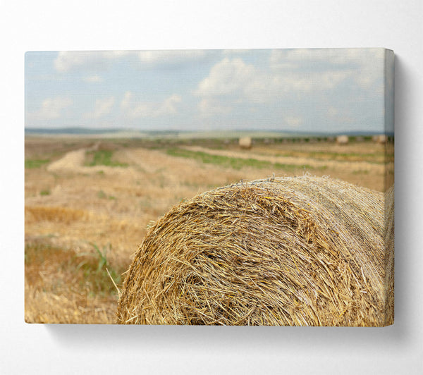  A Canvas Print of Golden Hay Roll Canvas Wall Art