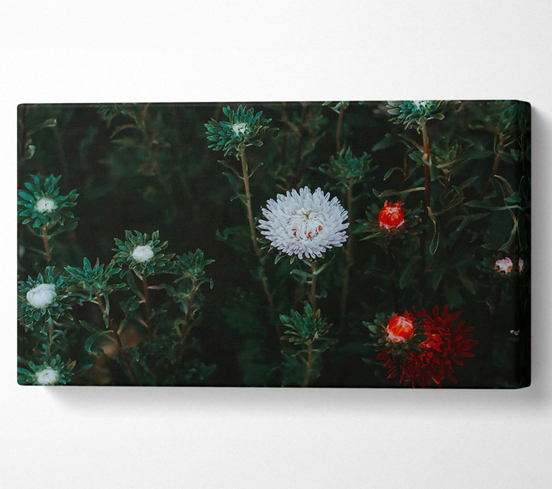  A Canvas Print of White Blooms In Green Canvas Print