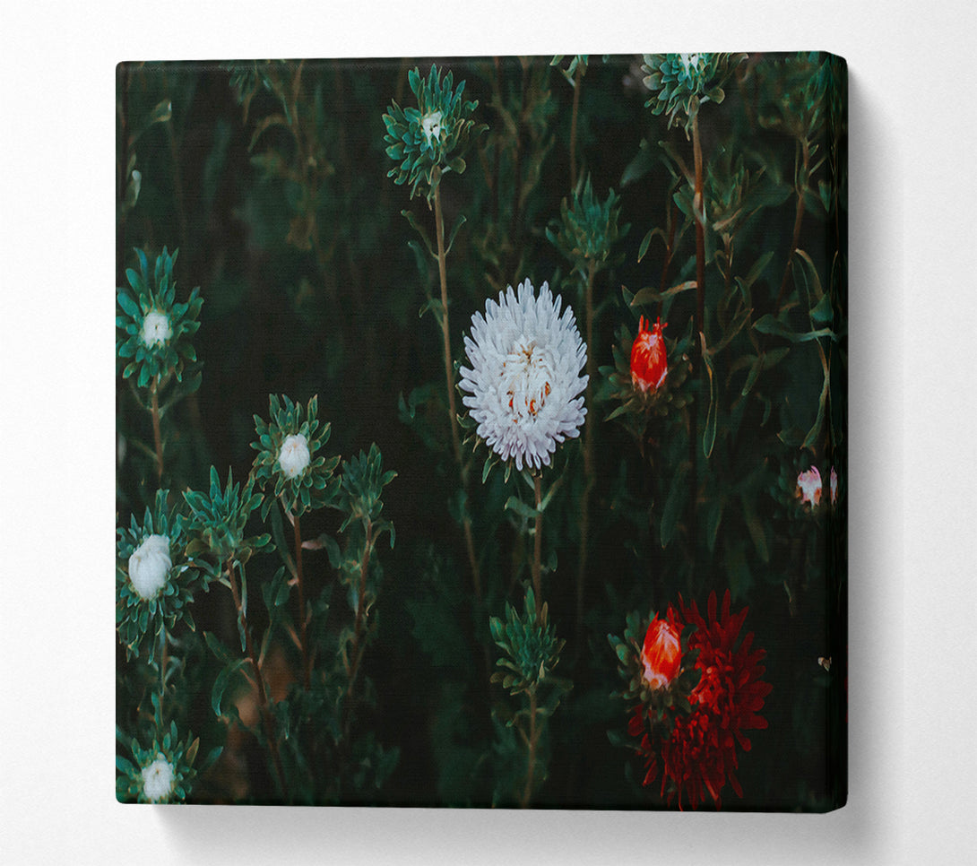  A Canvas Print of White Blooms In Green Canvas Print