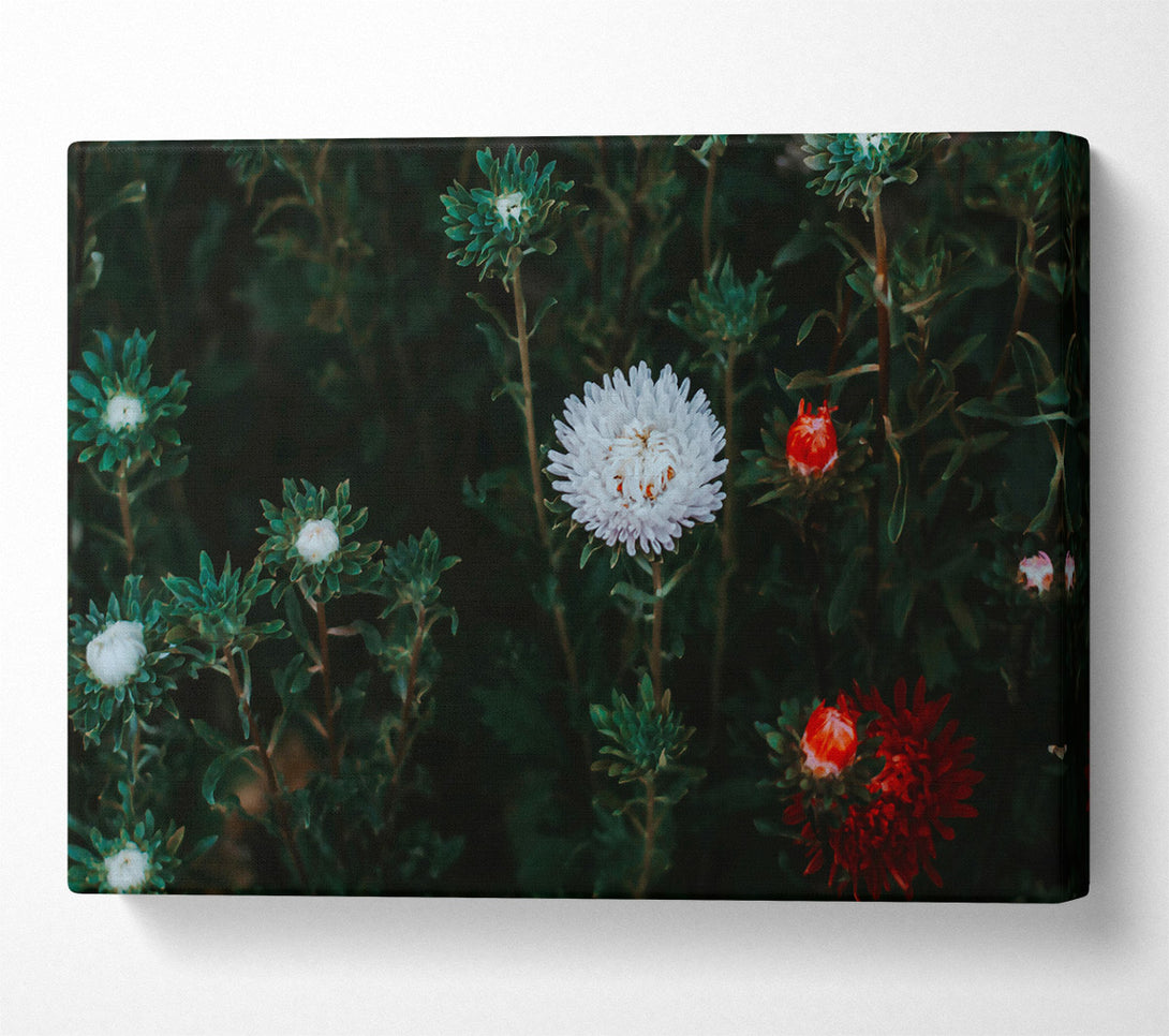  A Canvas Print of White Blooms In Green Canvas Print
