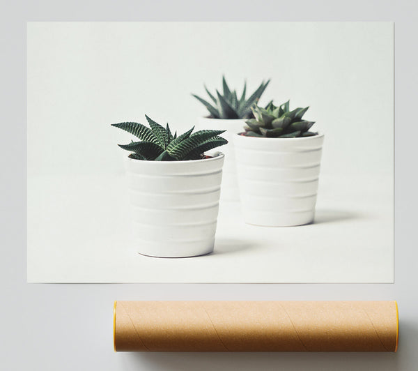 White Pots And Green Life Print