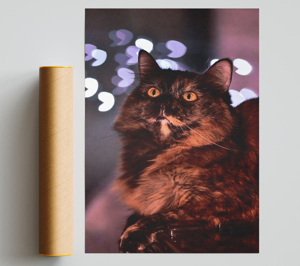 Golden Fur And Lights Giclee Print