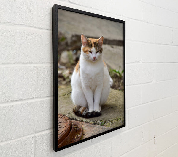 White Feline Portrait