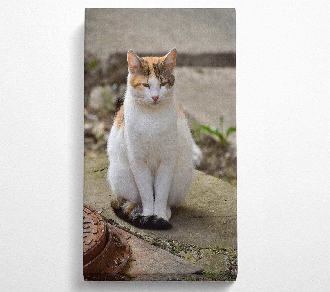  A Canvas Print of White Feline Portrait Canvas Print