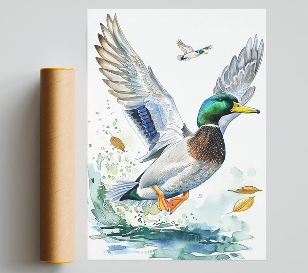 Green Mallard Takeoff Giclee Print