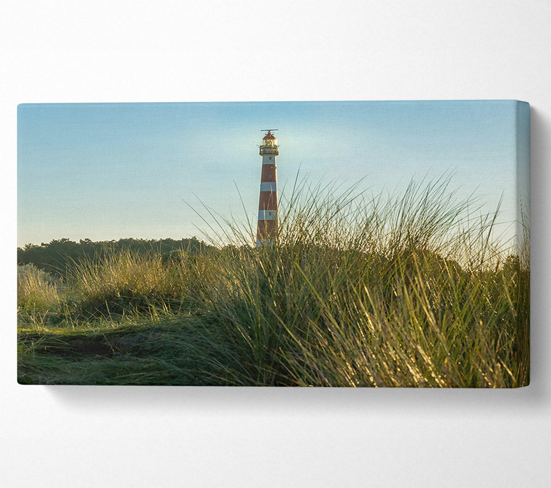  A Canvas Print of Golden Grass Lighthouse Canvas Art