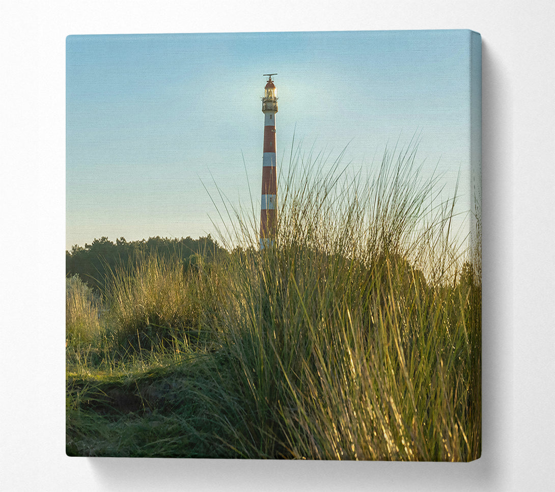  A Canvas Print of Golden Grass Lighthouse Canvas Art