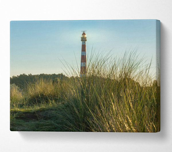  A Canvas Print of Golden Grass Lighthouse Canvas Art