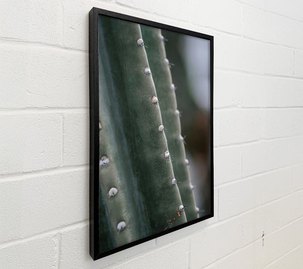 Green Cactus Spine