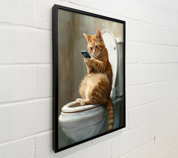 Cat Toilet Time