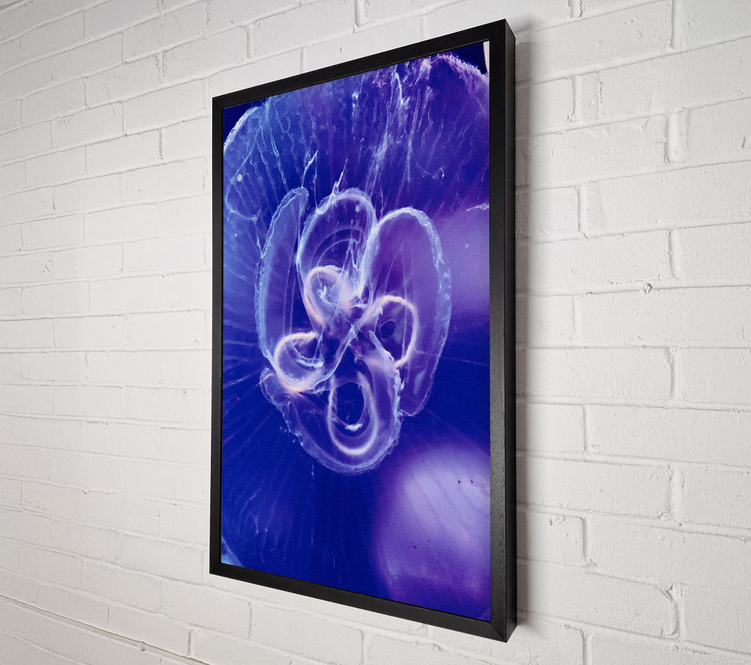  A Canvas Print of Indigo Jellyfish Bloom Canvas Art
