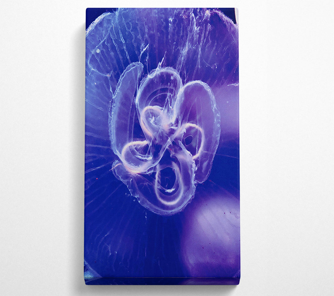 A Canvas Print of Indigo Jellyfish Bloom Canvas Art