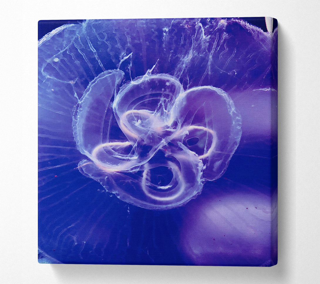  A Canvas Print of Indigo Jellyfish Bloom Canvas Art