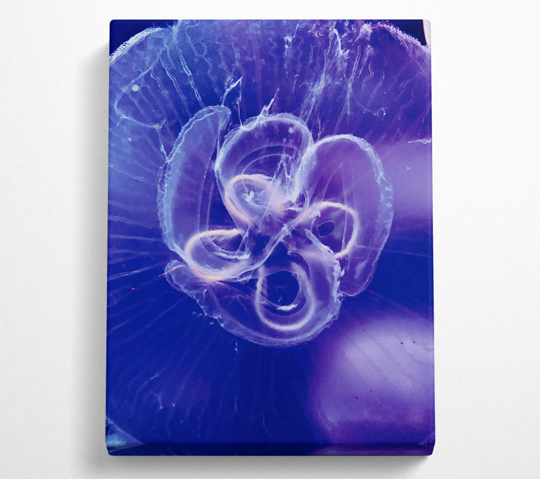  A Canvas Print of Indigo Jellyfish Bloom Canvas Art