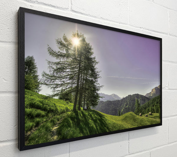 Purple Mountain Sun