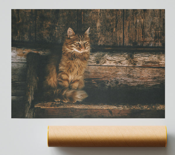 Golden Kitty On Wood Giclee Print