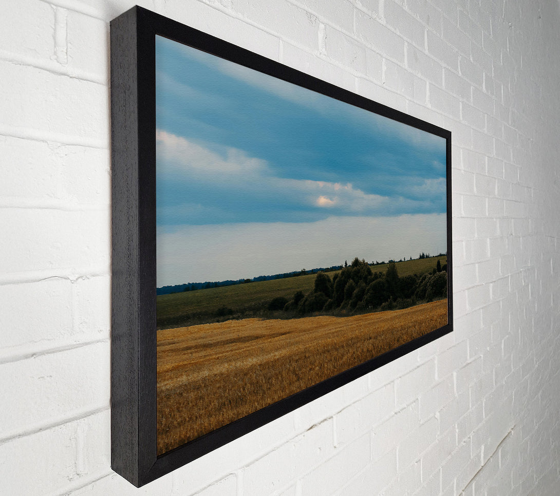  A Canvas Print of Golden Field Under Blue Skies Canvas Wall Art