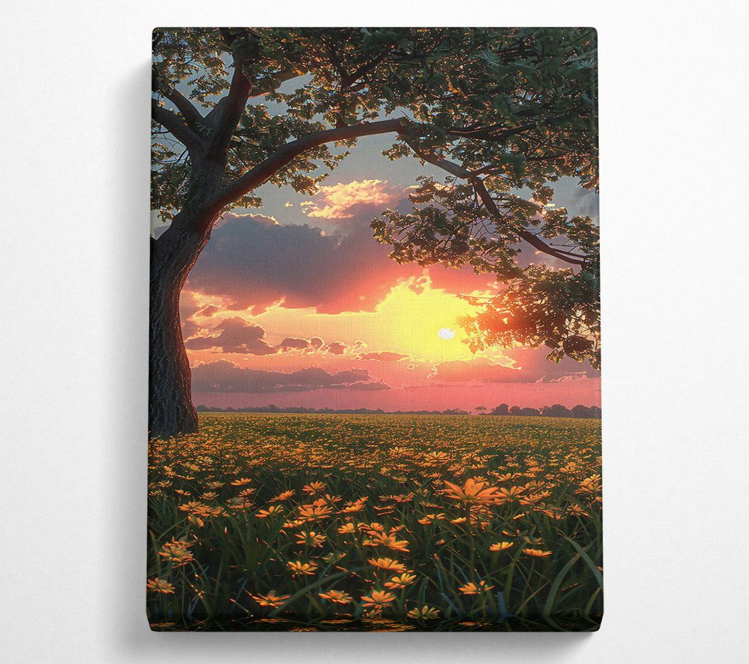  A Canvas Print of Golden Sunset Field Canvas Wall Art