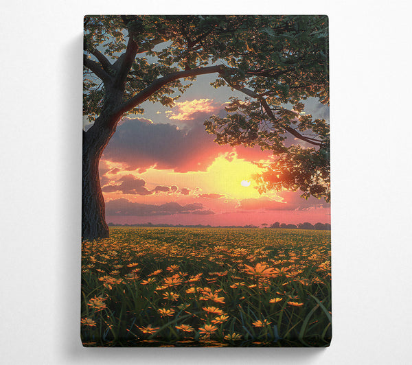  A Canvas Print of Golden Sunset Field Canvas Wall Art
