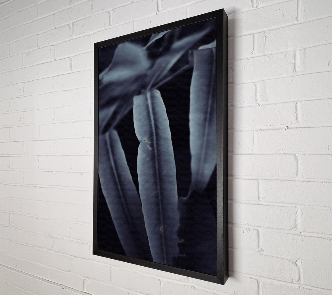  A Canvas Print of Indigo Leaf Shadows Canvas Print