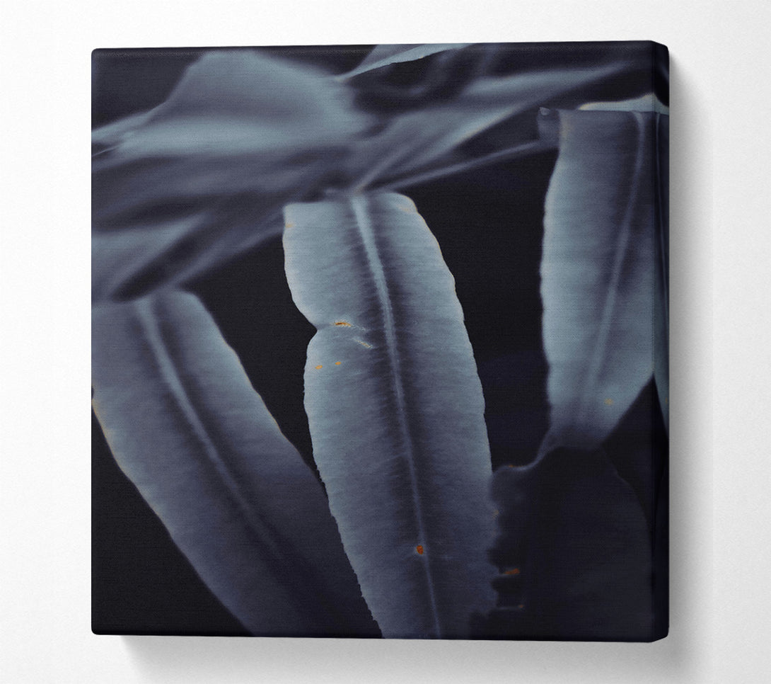  A Canvas Print of Indigo Leaf Shadows Canvas Print