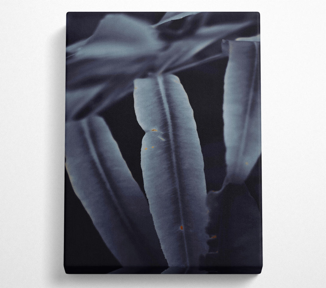  A Canvas Print of Indigo Leaf Shadows Canvas Print