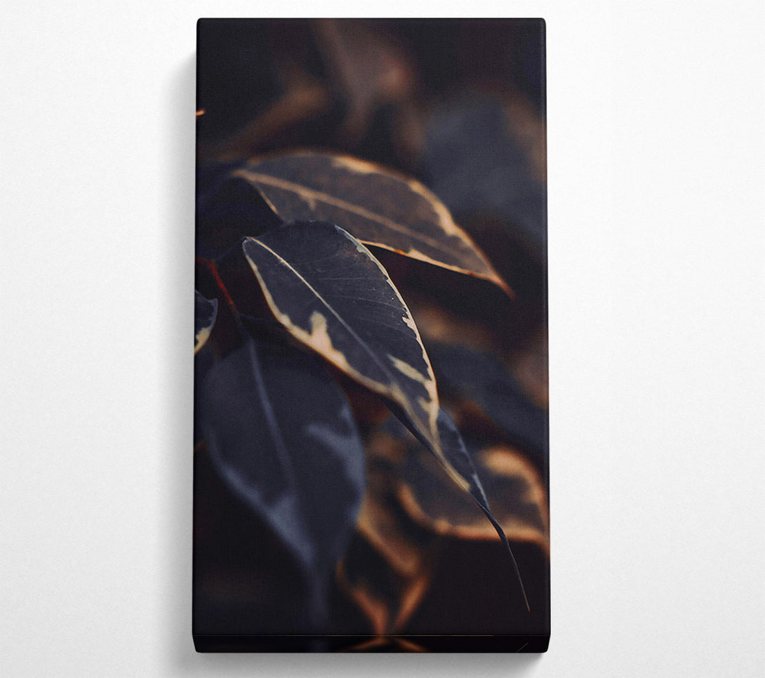  A Canvas Print of Dark Green Veins Canvas Print
