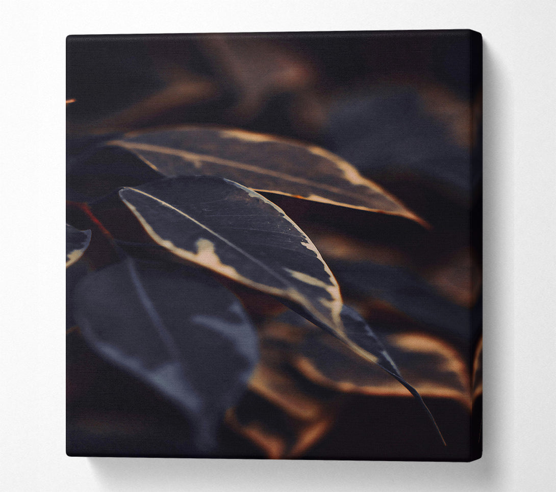  A Canvas Print of Dark Green Veins Canvas Print