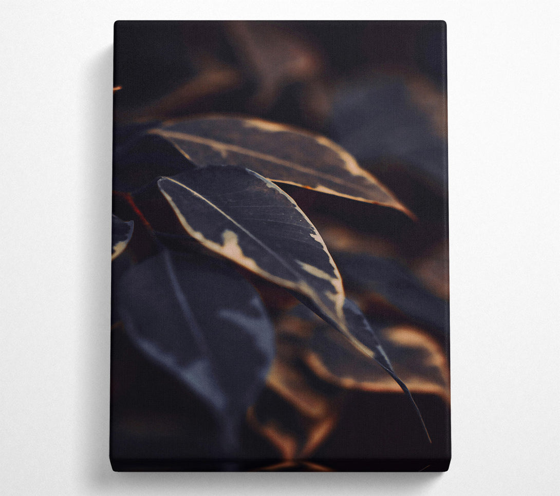  A Canvas Print of Dark Green Veins Canvas Print