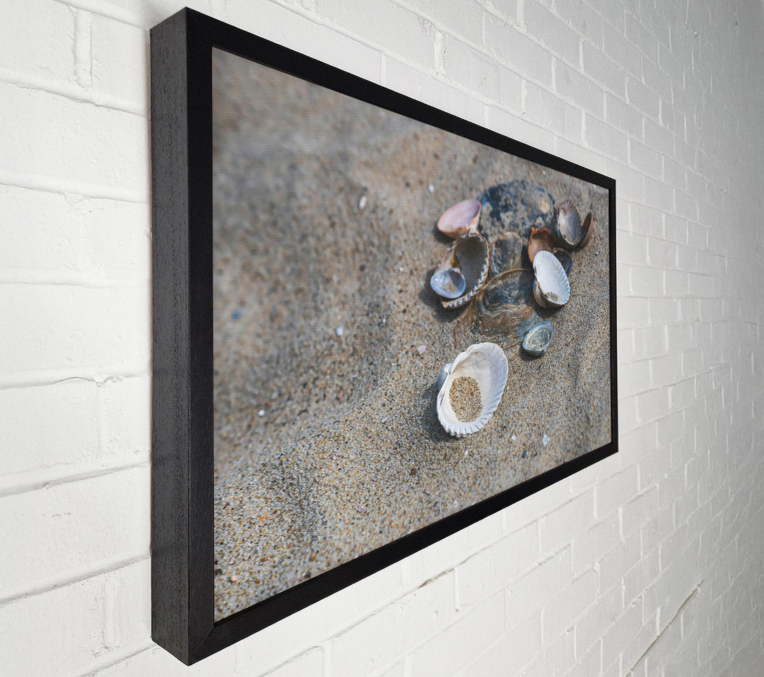  A Canvas Print of White Shells On Sand Canvas Art