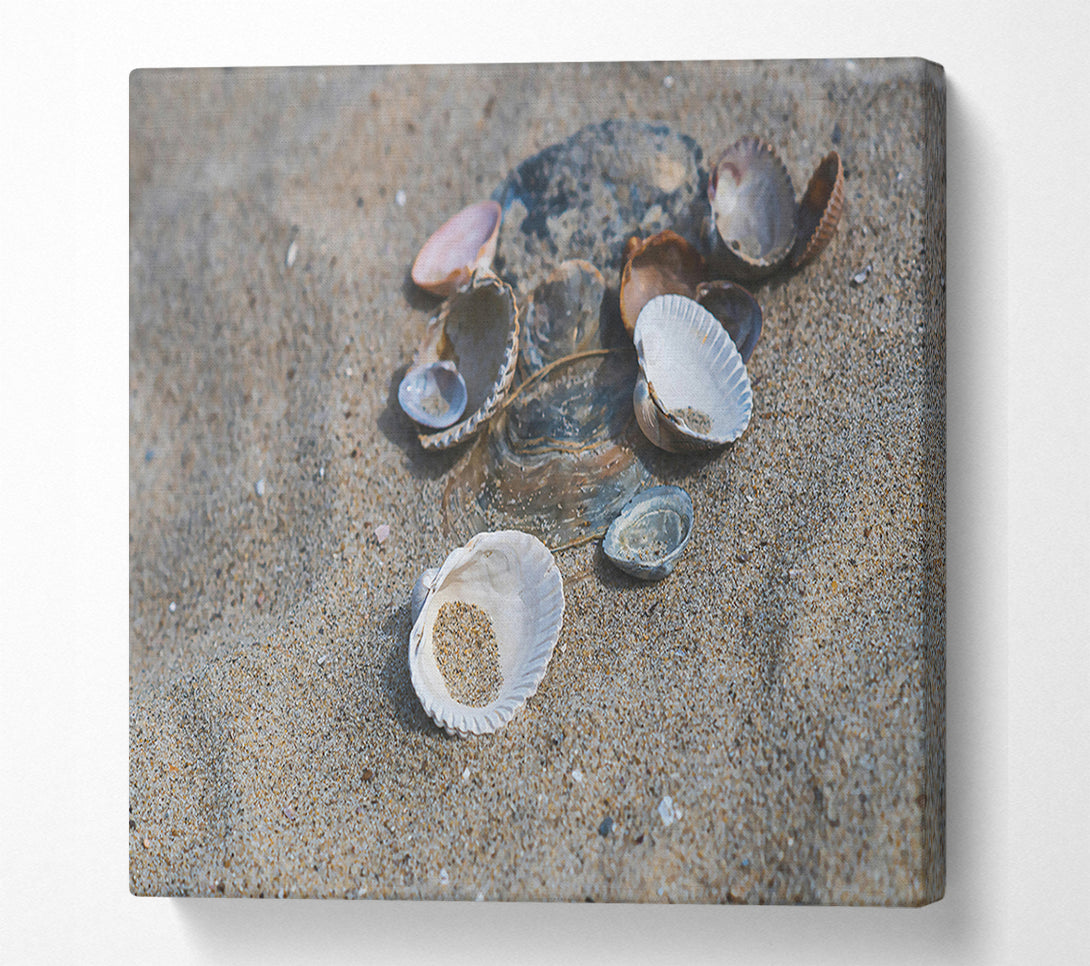  A Canvas Print of White Shells On Sand Canvas Art