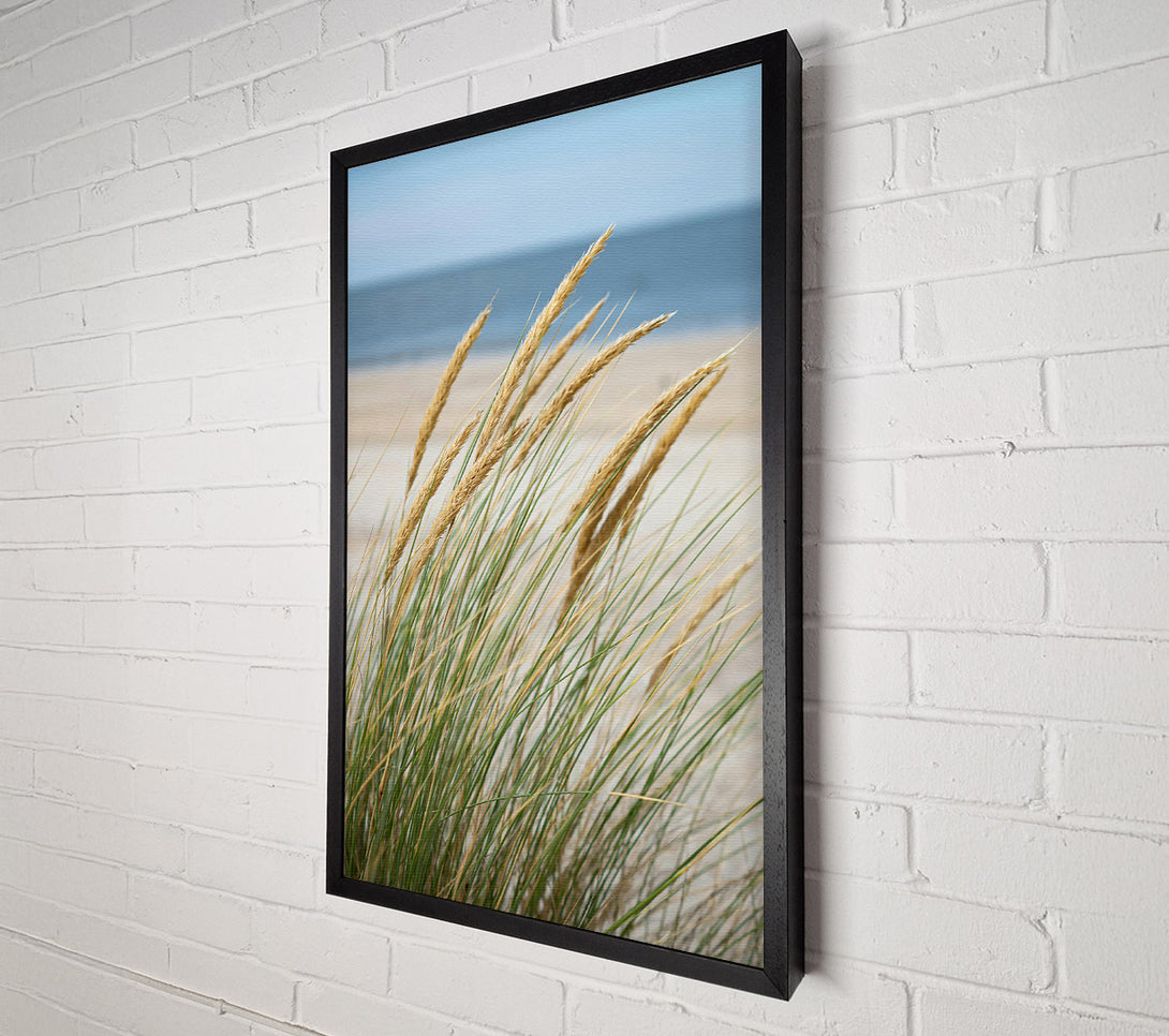  A Canvas Print of Golden Beach Grass Canvas Art