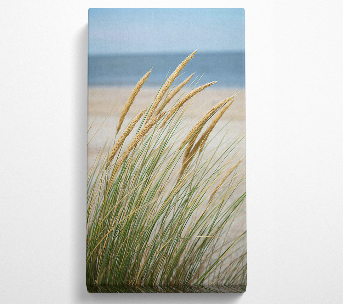  A Canvas Print of Golden Beach Grass Canvas Art