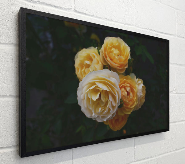 Golden Rose Bouquet