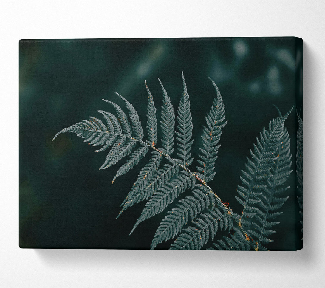  A Canvas Print of Emerald Fern Frond Canvas Wall Art