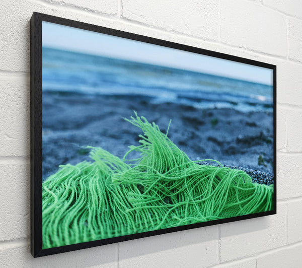 Green Sea Fringe