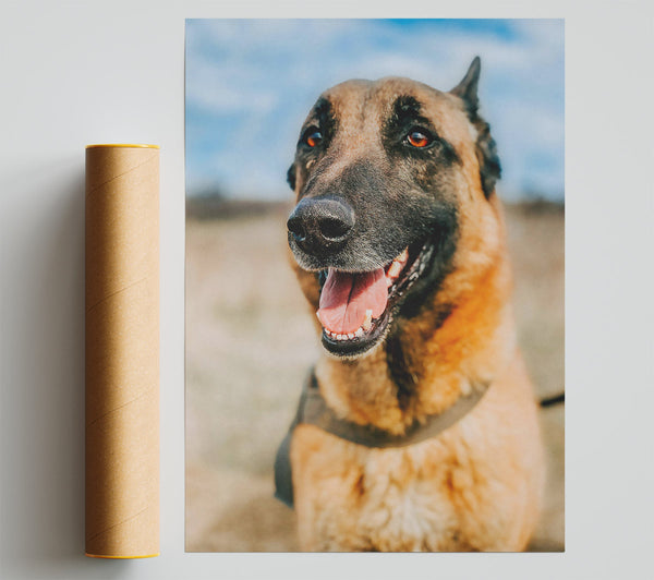 Golden Fur And Smiles Giclee Print